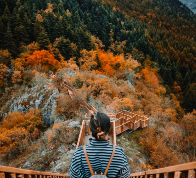 A person with a backpack stands at the top of a winding wooden staircase path descending through an autumn forest, evoking the experience of standing at the beginning of a therapeutic journey and taking the first step forward.