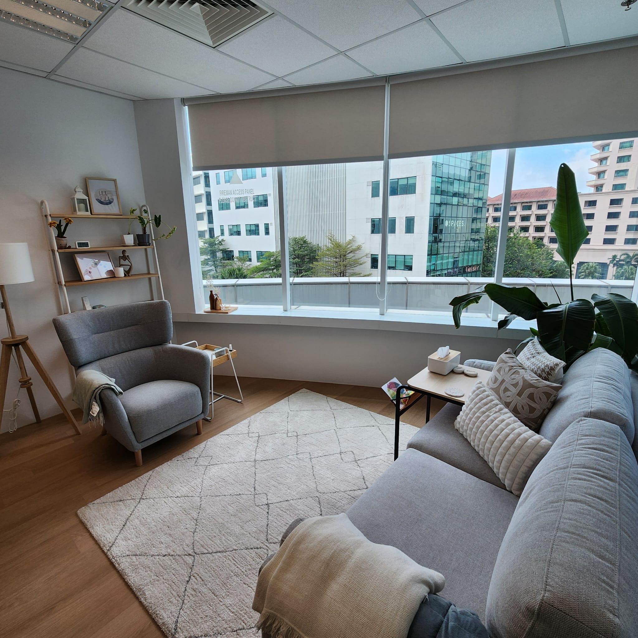 Therapy session Singapore - The Calming Ark