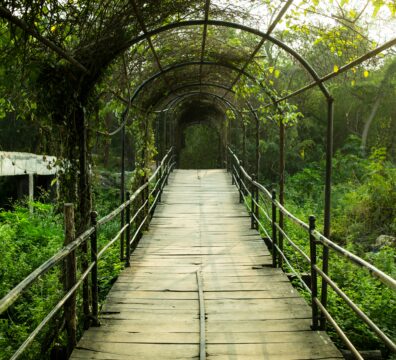 A wooden boardwalk path runs through a series of arched metal trellises covered in green vines, with warm light breaking through the canopy, evoking the passage through a life transition toward something new.