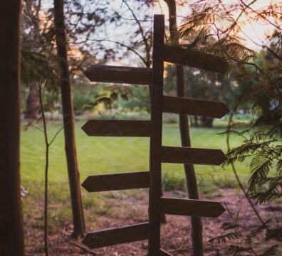 Wooden signpost with several arrows pointing in different directions, standing in a forest,