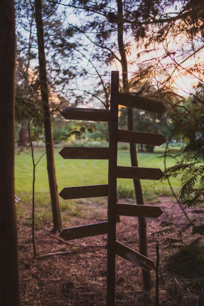 Wooden signpost with several arrows pointing in different directions, standing in a forest,