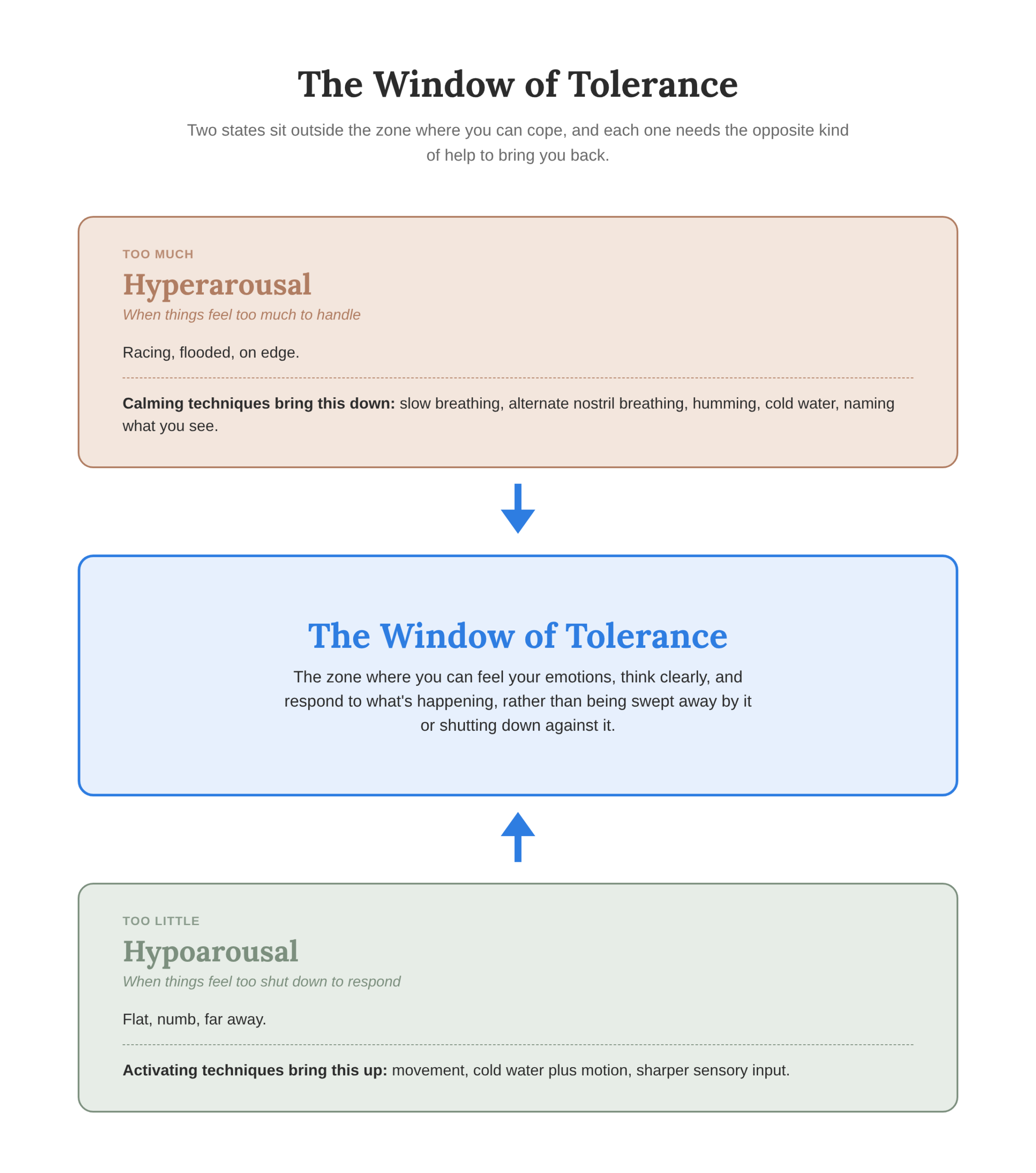 Diagram showing the window of tolerance: hyperarousal above, labelled too much to handle, and hypoarousal below, labelled too shut down to respond, each with an arrow pointing back toward the central window of tolerance zone.